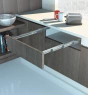 Example of pull-out counter extension without panels in place
