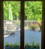 View of a patio through a pair of glass doors covered with Feather Friendly Window Collision Tape squares