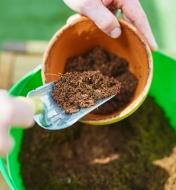 Scooping coir into a planting pot