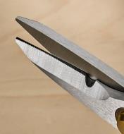 A close view of the thick stainless-steel blades on the shears