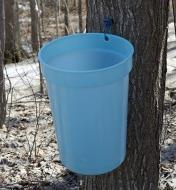 Bucket from the maple syrup starter kit hangs on a maple tree