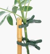 Two plant clips holding a plant stem to a bamboo stake