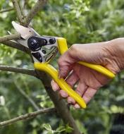 Using the bypass pruner to trim a green branch off of a small tree