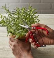 Needle-nose mini garden shears being used to prune a plant