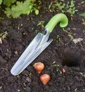 Using the Radius ergonomic blulb planter to prepare a hole in soil for planting bulbs