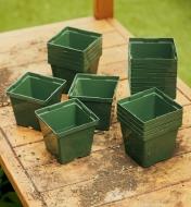 Several four-inch plastic pots on a potting bench
