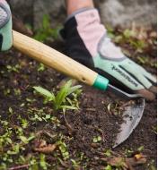 Using a traditional Japanese weeder to weed a garden bed