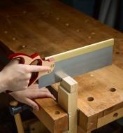 Using a tenon saw to cut a board that is clamped in a vise