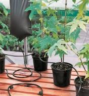 Tuyau en PVC pour système d'irrigation goutte à goutte circulant entre des plantes en pots sur une terrasse
