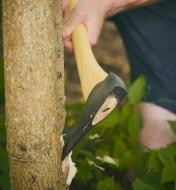 A pack axe being used to chop a tree