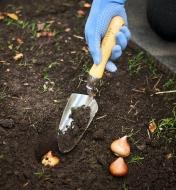 Using a Lee Valley trowel to plant bulbs