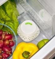 The crisper insert in a refrigerator crisper drawer with fruit and vegetables.