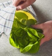 Placing leaf lettuce in a bread storage bag