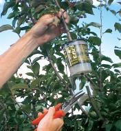 A branch with a rooter pot being cut with pruners