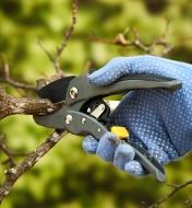 Cutting a branch with a ratcheting pruner