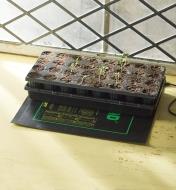 A heat mat under a planter with soil and sprouting plants