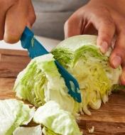 Cutting a head of lettuce using the bakeware buddy knife