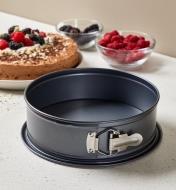 A 9"" springform pan on a counter with a cake and berries