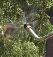 Spraying water onto plants using a Bug Blaster on a Water Wand