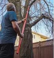 Pruning a limb from a mature tree using the saw attachment and extended pole of the pole pruning set