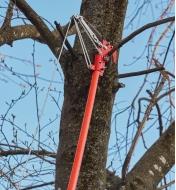 Close view of the pruner head and pulley system of the pole pruning set used to cut smaller tree branches