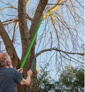 Personne se servant d'un ensemble d'élagage professionnel Jameson pour couper une branche d'arbre en hauteur