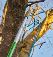 View of the double-pulley system of the Jameson professional tree pruning kit