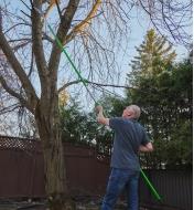 Pruning a mature tree with the saw head and long fiberglass pole of the Jameson professional tree pruning kit