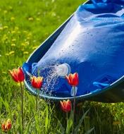 The watering rose on the 80 litre water bag produces a spray for watering flowers