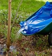 Pouring water from the 80 litre water bag near the base of a tree