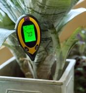 A digital soil meter inserted in a houseplant pot, showing light and pH readings
