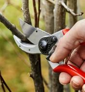Felco #2 Classic Pruner being used to trim a branch