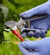 A person using the Pocket Pruner to trim a pepper plant