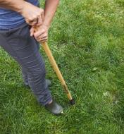 A woman pushes the weeder claws into the ground with her foot