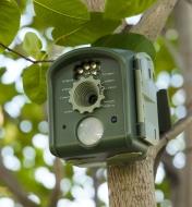 BirdCam mounted to a tree