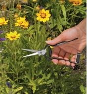 Cutting flowers with the Forged Flower Snips