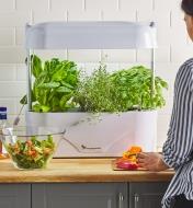 An LED grow light and planter filled with herbs sits on a countertop near a person prepping vegetables