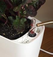 Using a watering can to refill a grow light & self-watering planter set’s water reservoir