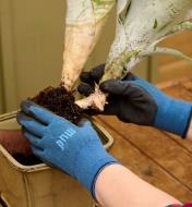 Holding plants and soil while wearing mud gloves