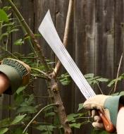 Limbing a small tree with a machete