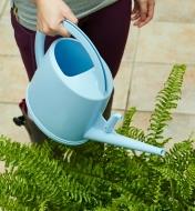 A woman watering a large potted plant using a 4 litre watering can