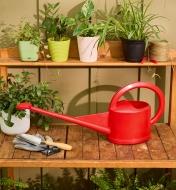 A 5 litre watering can sitting on an outdoor table with potted plants