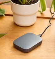 Borne Wi-Fi sur une table en bois à côté d'une plante en pot