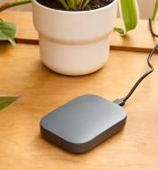 Borne Wi-Fi pour minuteries d'arrosage et pluviomètre, sur une table en bois à côté d'une plante en pot