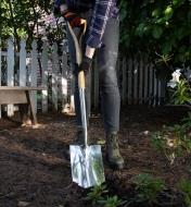 A gardener digs into the ground with the digging spade