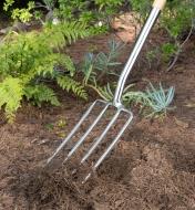 A gardener digs into the ground with the digging fork