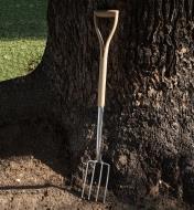 The digging fork leaning against a tree
