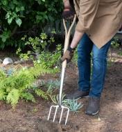 A gardener digs into the ground with the digging fork