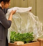 A woman lifts the insect protection fabric off plants growing in a raised planter