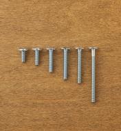 Rampa 1/4-20 Flat-Head Bolts